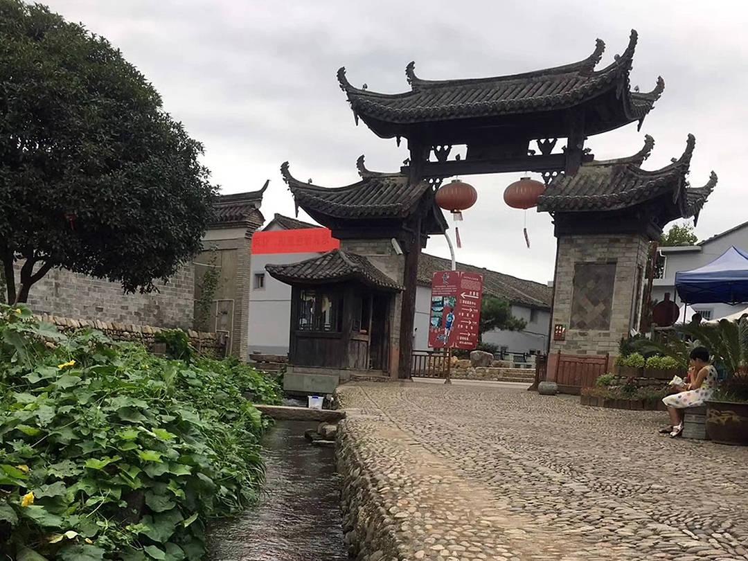 可爱小猫向上跳
